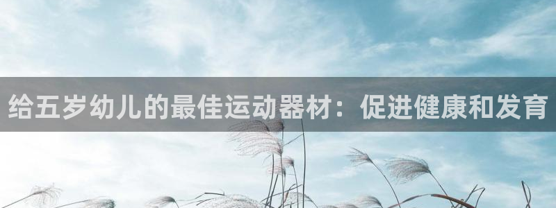 尊龙集团有限公司官网:给五岁幼儿的最佳运动器材:促进健康和发