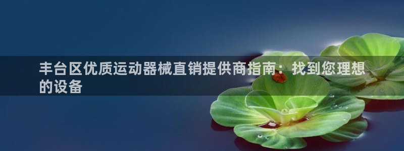 尊龙d88现金 旧版本可靠送38元:丰台区优质运动器械直销提