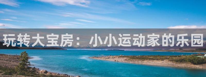 尊龙凯时人生就是搏客户:玩转大宝房:小小运动家的乐园